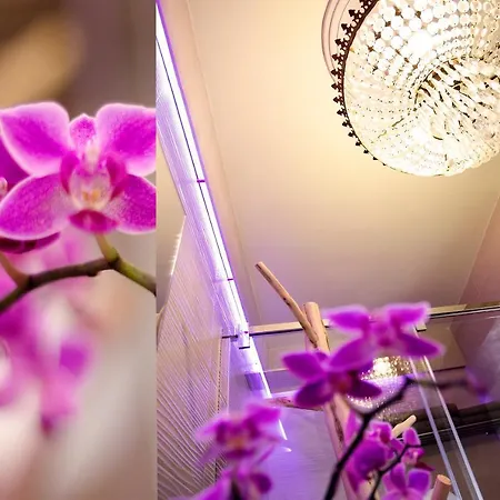 Apartamento Estudios En Ciudad Málaga
